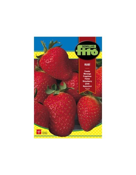 SEMILLAS FRESON ALEXANDRIA - FITO