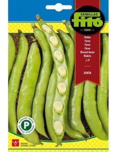 SEMILLAS HABA SOFIA - FITO