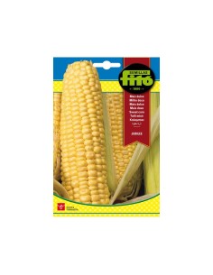 SEMILLAS MAIZ SUPERDULCE...
