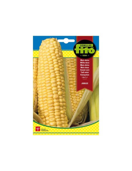 SEMILLAS MAIZ SUPERDULCE JUBILEE - FITO