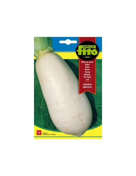 SEMILLAS NABO DE MESA VIRTUDES MARTILLO - FITO