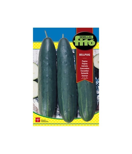 SEMILLAS PEPINO BELLPUIG - FITÓ