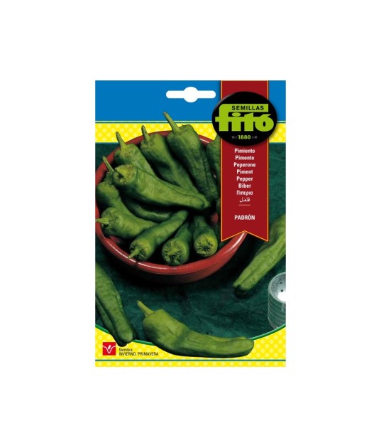 SEMILLAS PIMIENTO PADRÓN - FITO