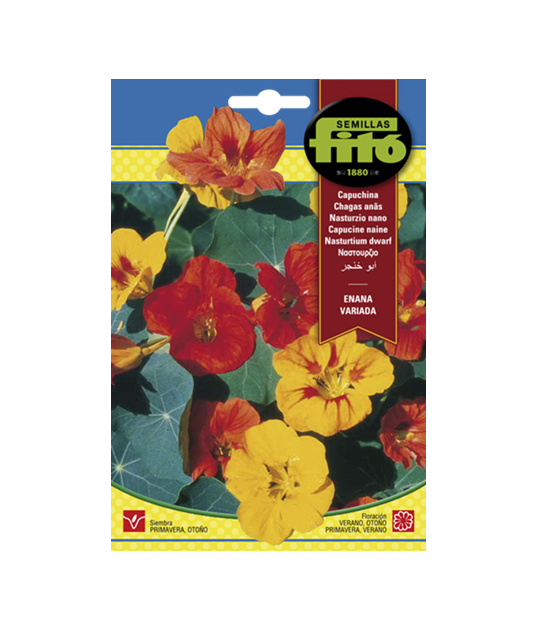 SEMILLAS CAPUCHINA ENANA VARIADA - FITO