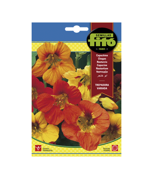 SEMILLAS CAPUCHINA TREPADORA VARIADA...