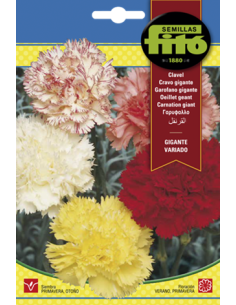 SEMILLAS CLAVEL GIGANTE...