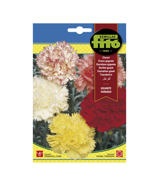 SEMILLAS CLAVEL GIGANTE VARIADO - FITO