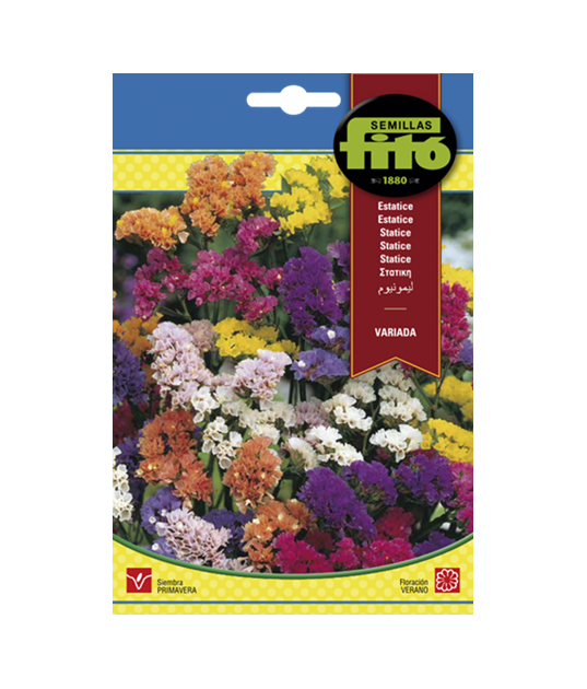 SEMILLAS ESTATICE VARIADA - FITO