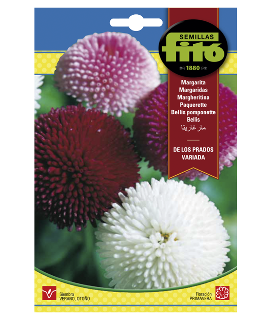 SEMILLAS MARGARITA DE LOS PRADOS...