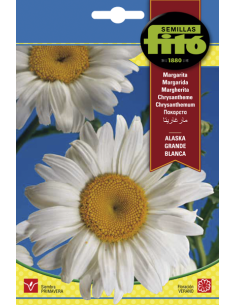SEMILLAS MARGARITA ALASKA...
