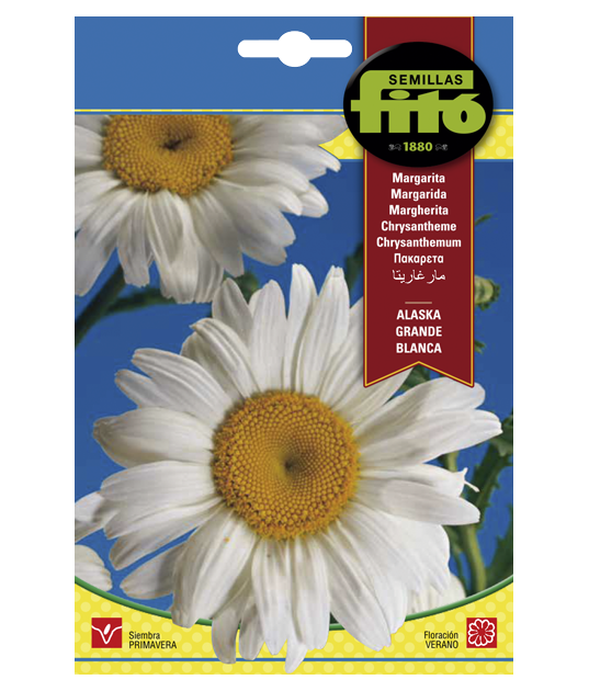 SEMILLAS MARGARITA ALASKA GRANDE...