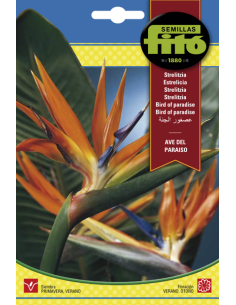 SEMILLAS STRELITZIA AVE DEL...
