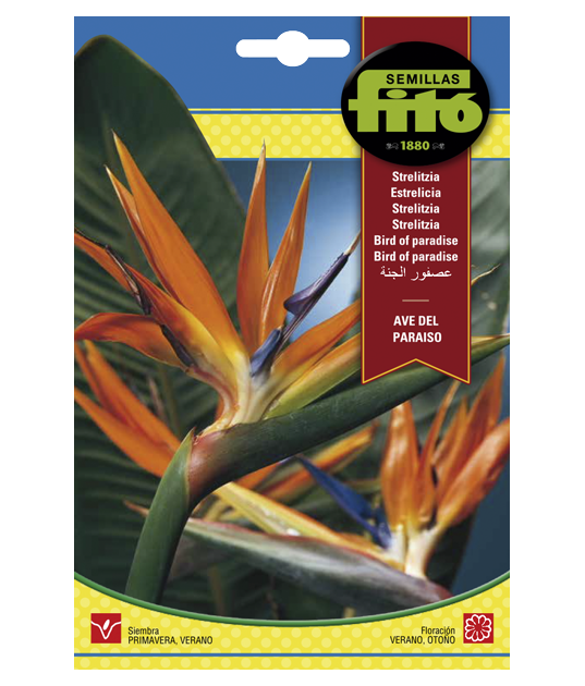 SEMILLAS STRELITZIA AVE DEL PARAISO -...