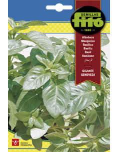 SEMILLAS ALBAHACA GIGANTE...