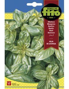 SEMILLAS ALBAHACA HOJA DE...