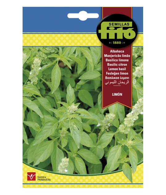 SEMILLAS ALBAHACA LIMON - FITO