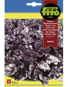 SEMILLAS ALBAHACA MORADA -...