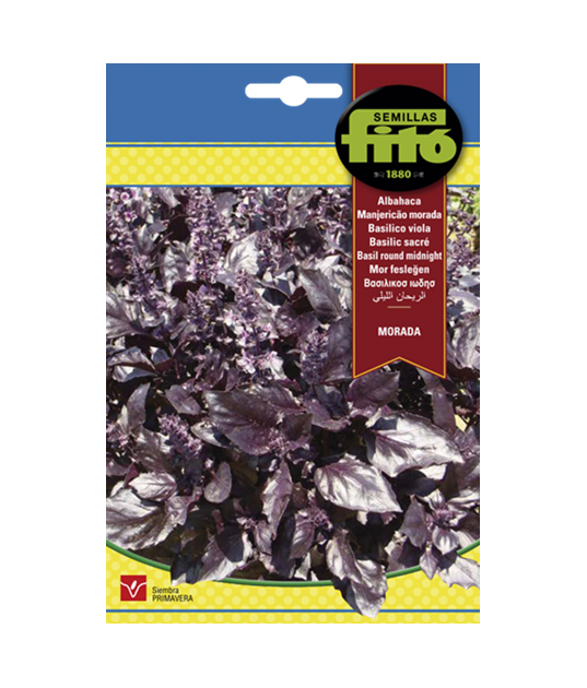 SEMILLAS ALBAHACA MORADA - FITO