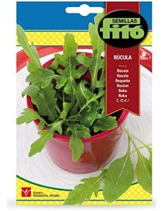 SEMILLAS RUCULA SATIVA - FITO