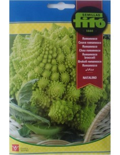 SEMILLAS ROMANESCO NATALINO...