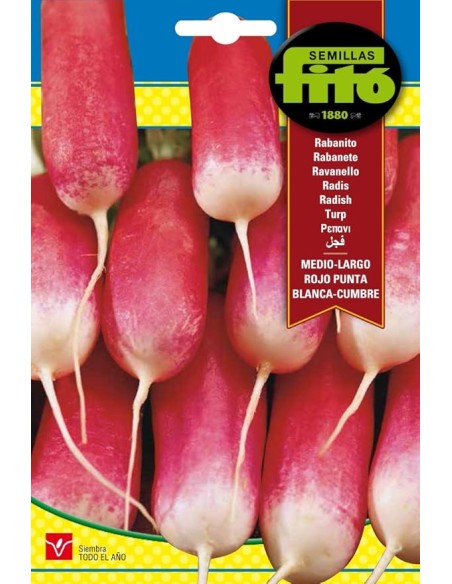 SEMILLAS RABANITO MEDIO-LARGO ROJO PUNTA BLANCA-CUMBRE - FITO