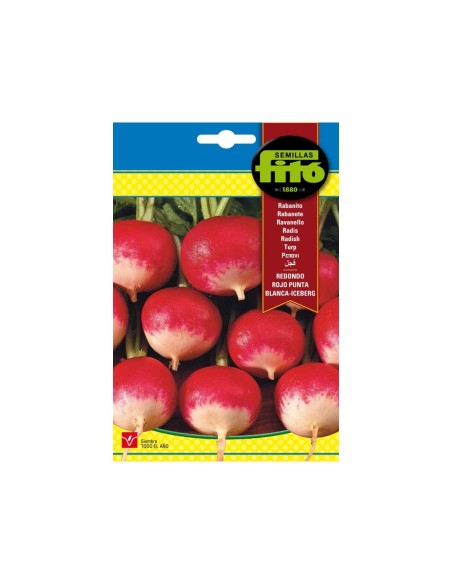 SEMILLAS RABANITO REDONDO ROJO PUNTA BLANCA-ICEBERG - FITO