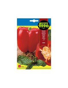 SEMILLAS PIMIENTO MAOR - FITO