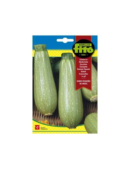SEMILLAS CALABACIN VERDE PEQUE&NtildeO DE ARGEL - FITO
