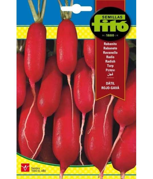 SEMILLAS RABANITO DATIL ROJO-GAVA - FITO