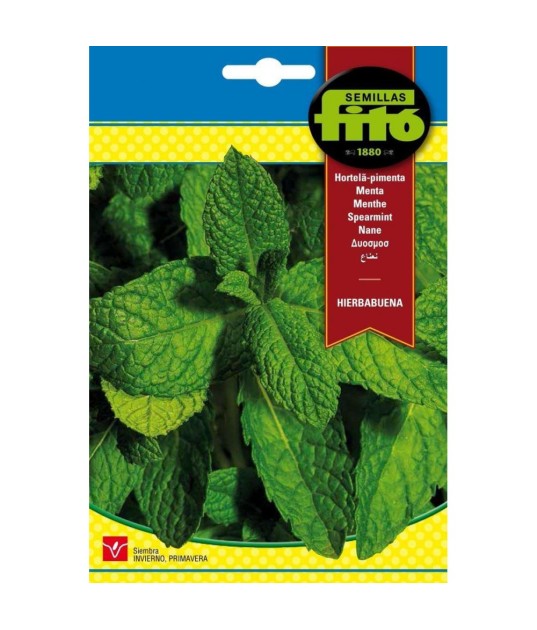 SEMILLAS HIERBABUENA - FITO