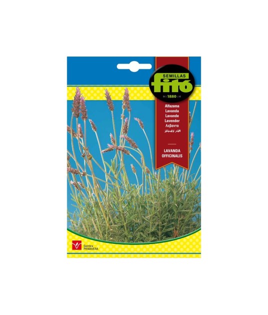 SEMILLAS LAVANDA OFFICINALIS - FITO