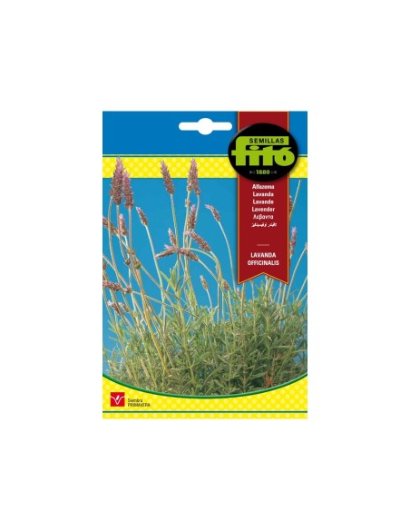 SEMILLAS LAVANDA OFFICINALIS - FITO