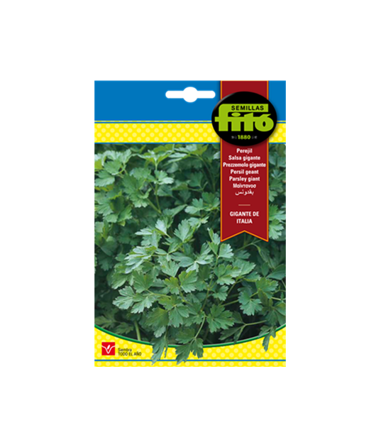 SEMILLAS PEREJIL GIGANTE DE ITALIA -...