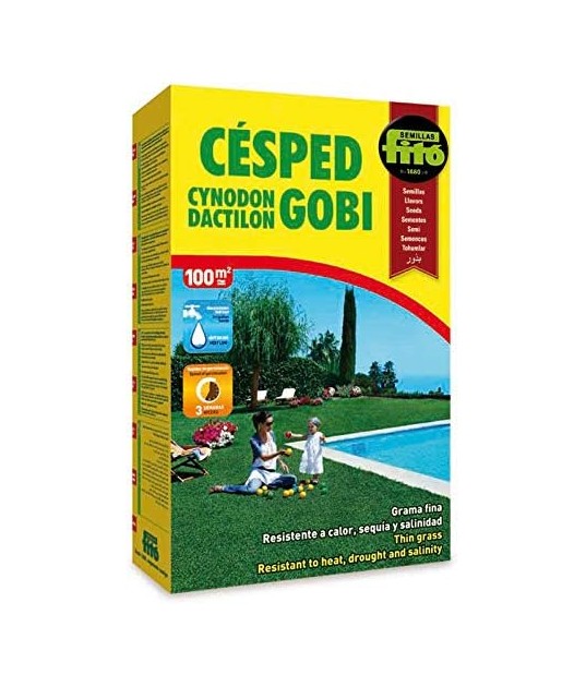 SEMILLAS CESPED CYNODON DACTYLON GOBI...