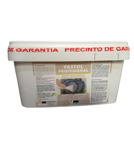 Pasta cicatrizante pastol 5 kg- Massó