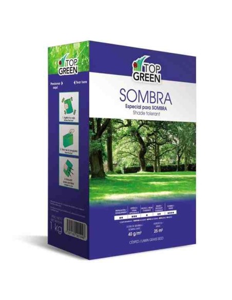 Semillas de césped para Zonas de Sombra 1 Kg- Top Green