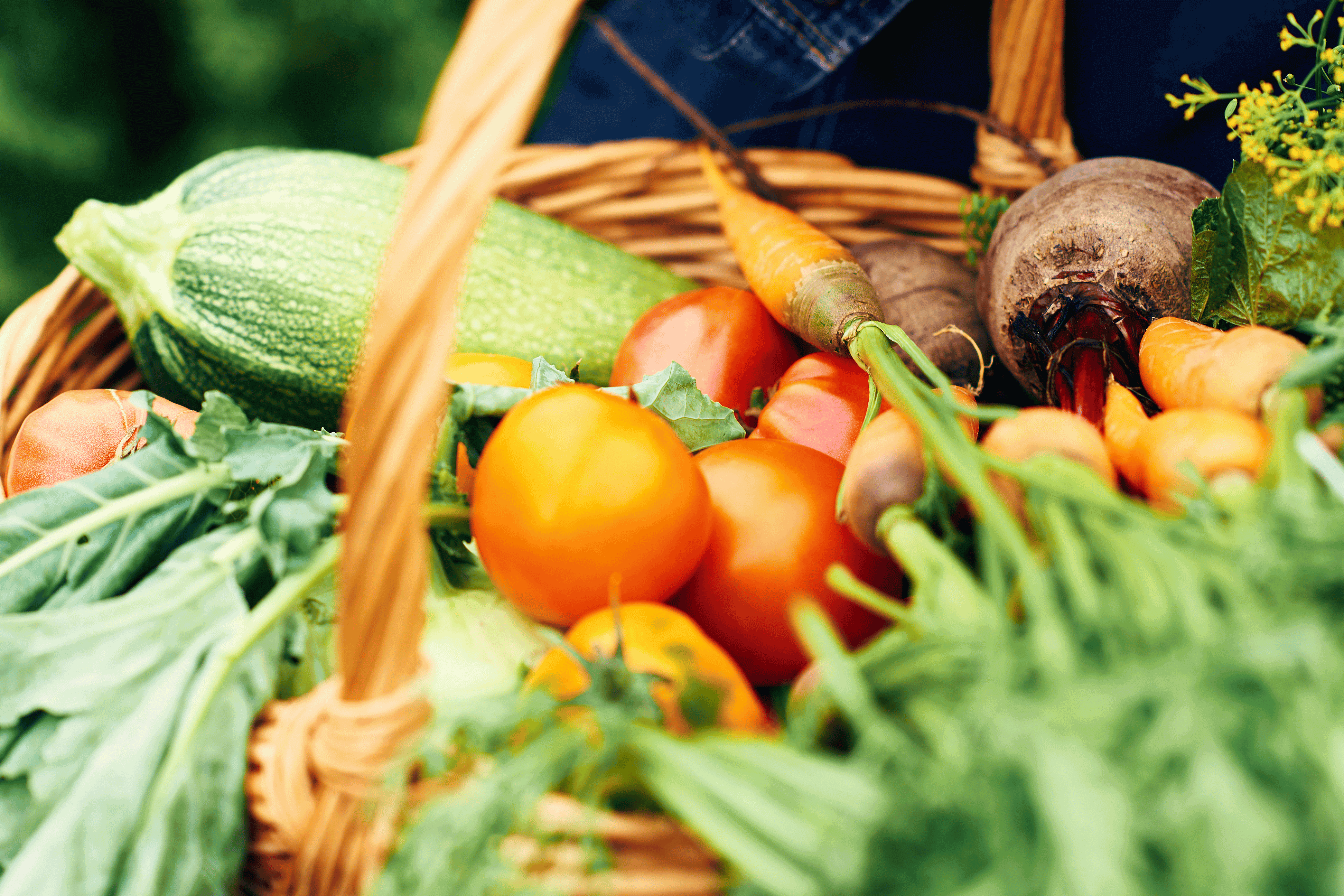 Las tareas del huerto en julio: Manteniendo tu jardín en plenitud